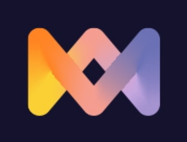 Logotype of Immense Group